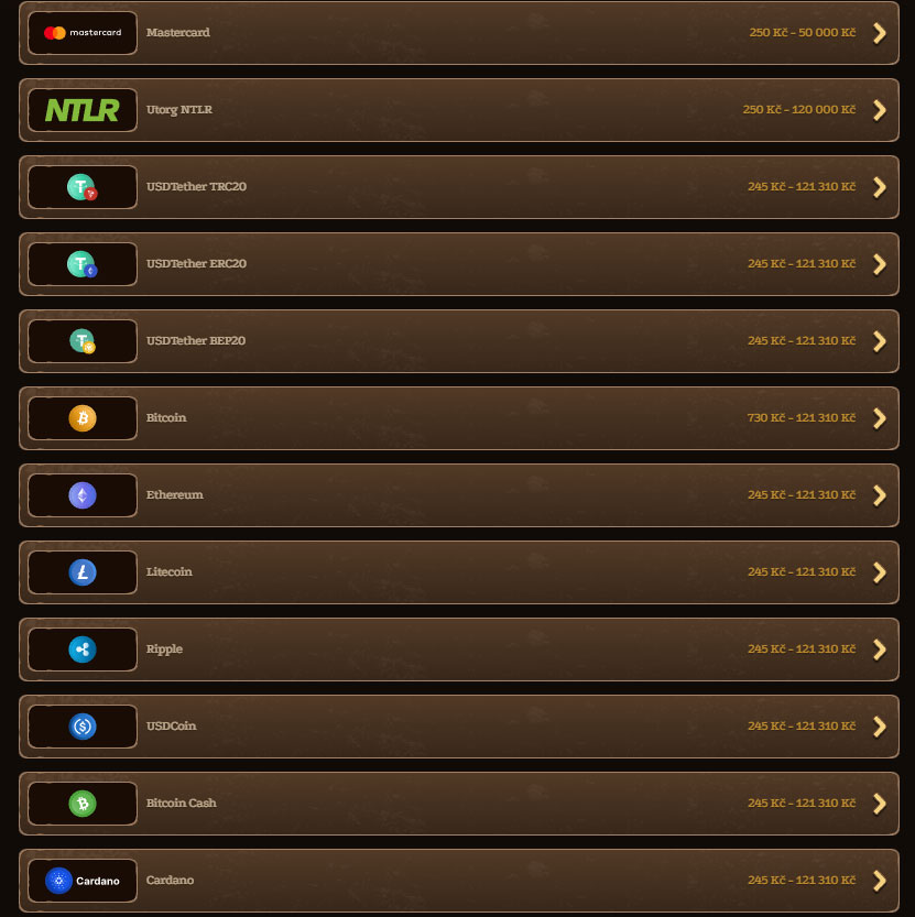 Lizaro Casino Payment Methods