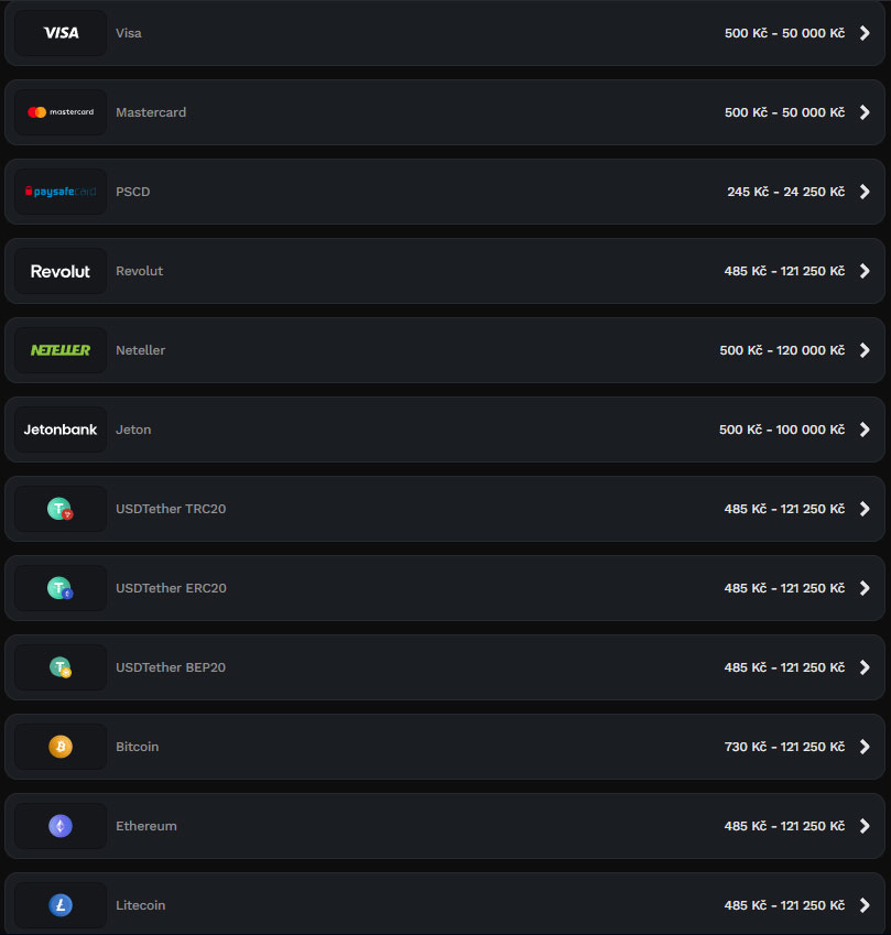 Wildsino-Casino-Payments