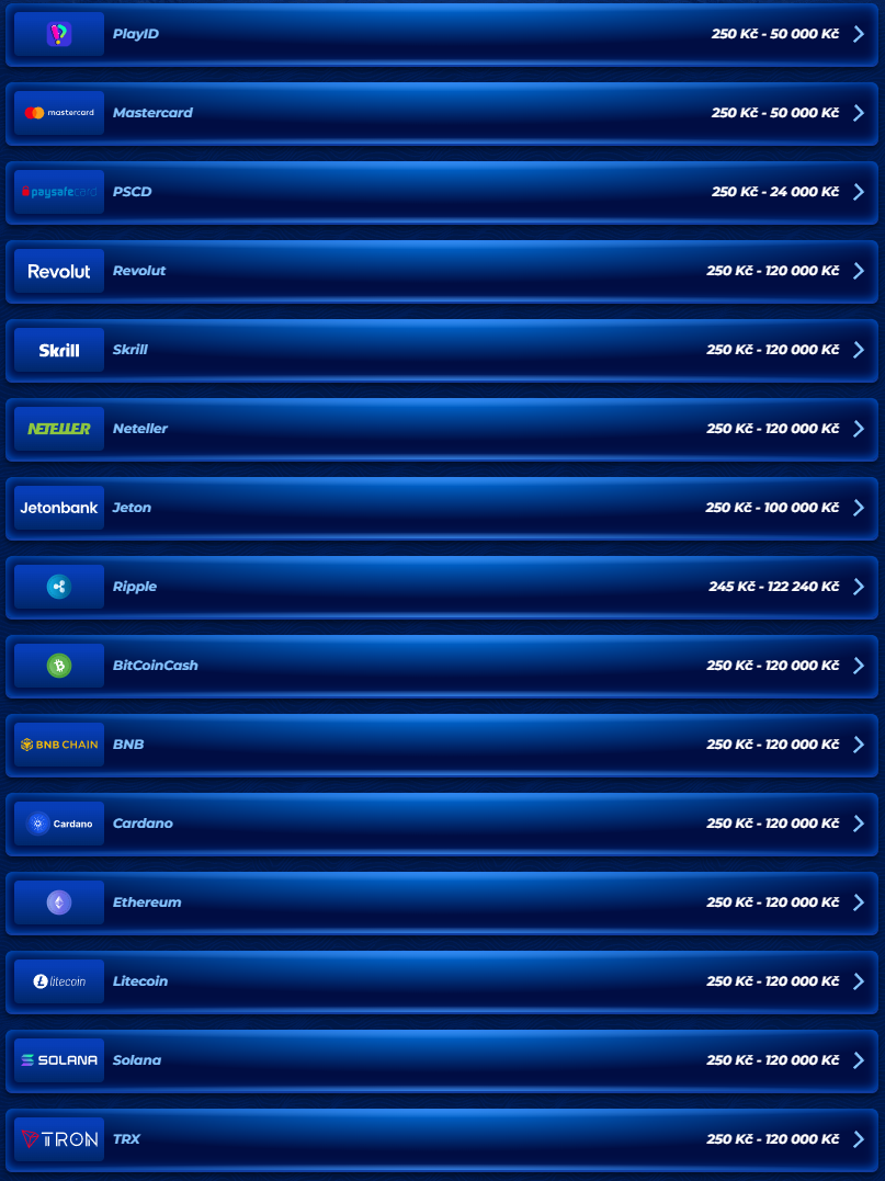 BassBet Casino Payments