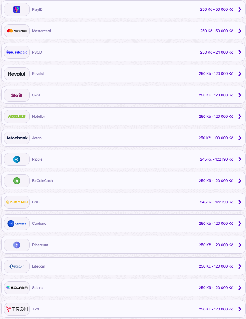 Robocat Casino Payment