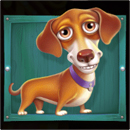 The Dog House Symbol 8