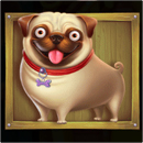 The Dog House Symbol 9