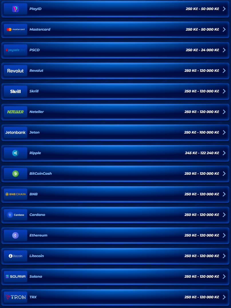 BassBet Casino Payments